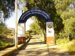 imagen1