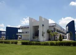 imagen0