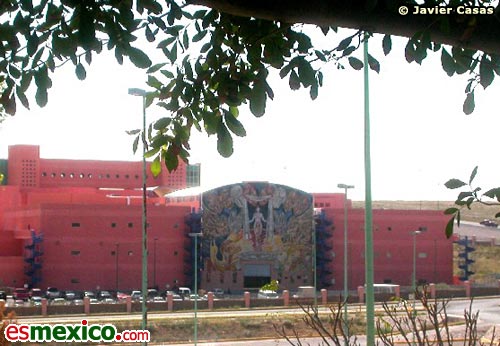 imagen1