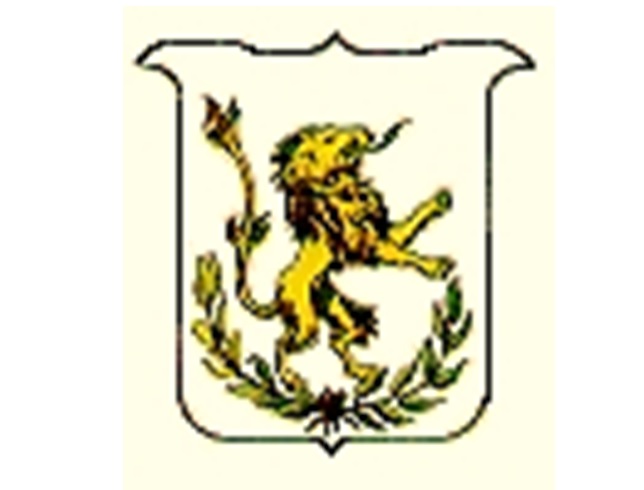 imagen1