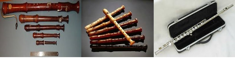 imagen1