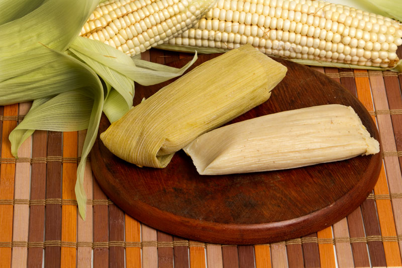 Tamales de Elote : Platillos México : Sistema de Información  Cultural-Secretaría de Cultura