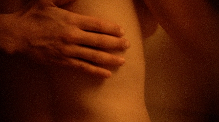 imagen1