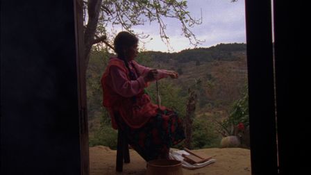 imagen3
