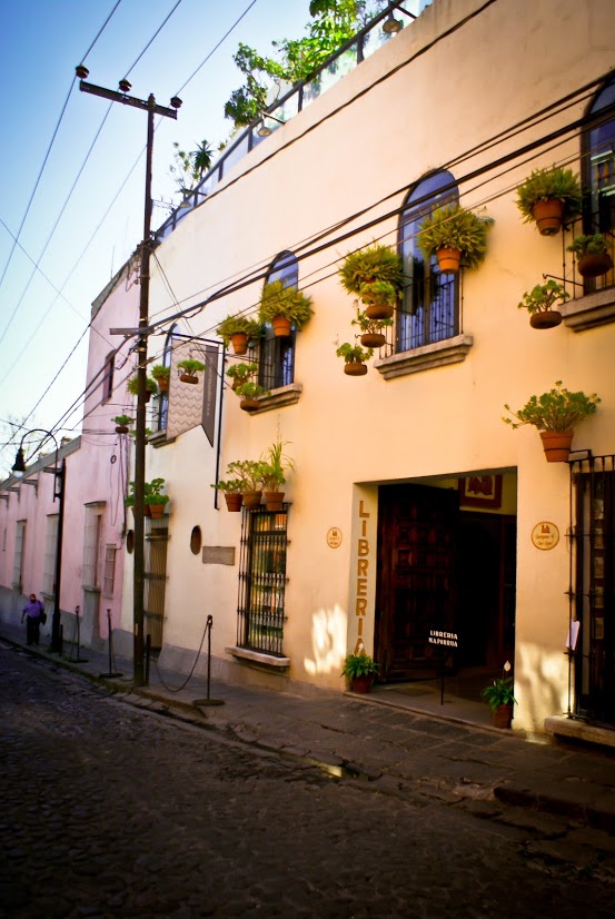 imagen3