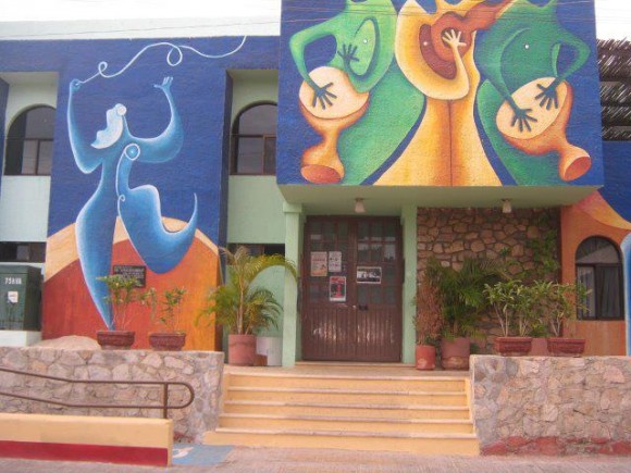 imagen1