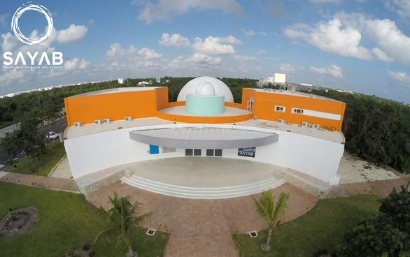 imagen1