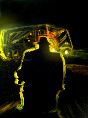 imagen1