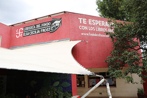 imagen1