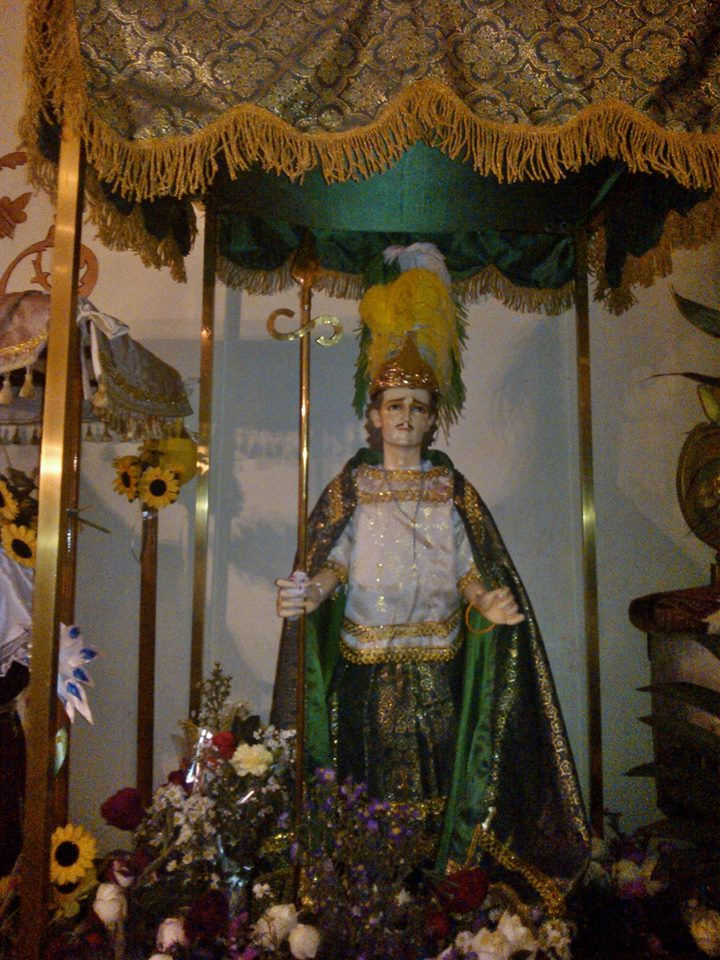 imagen1