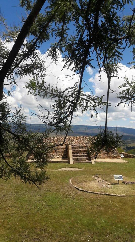 imagen2