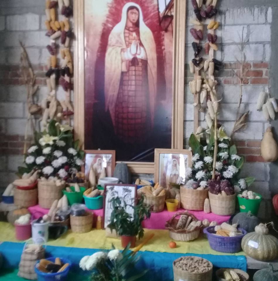imagen1