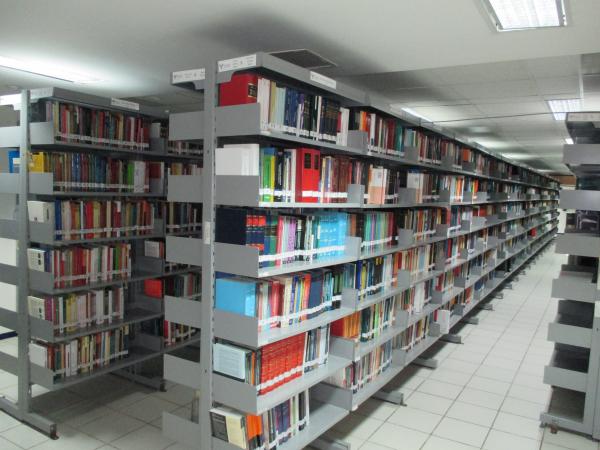 imagen2