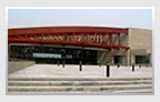 imagen1