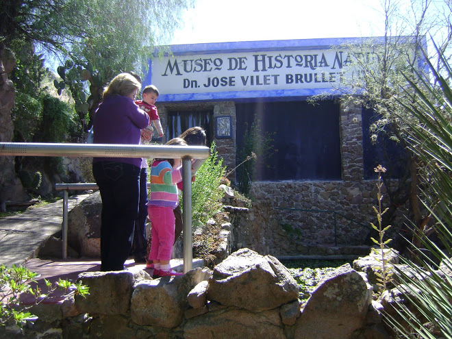 imagen1