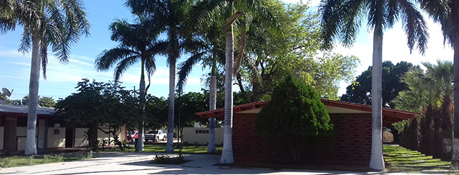 imagen1