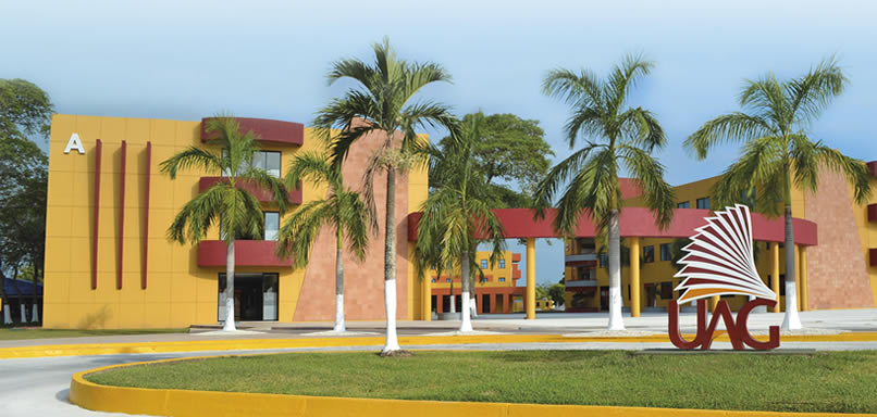 imagen1