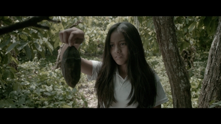 imagen2