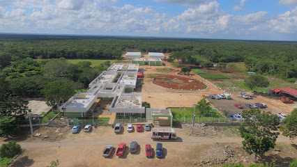 imagen1