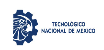 imagen1