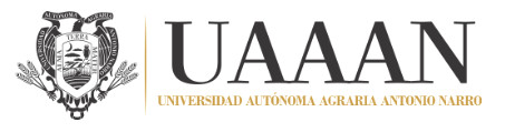 imagen0