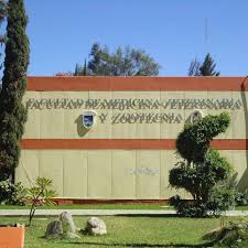 imagen0