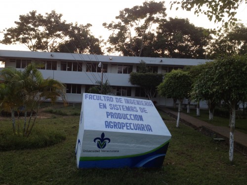 imagen1