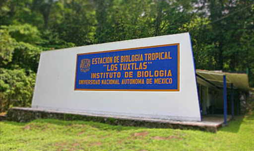 imagen1