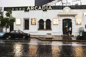imagen1