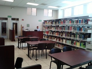 imagen1